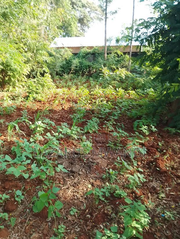 50 by 100 Plot for Sale Kiarukungu Mwea