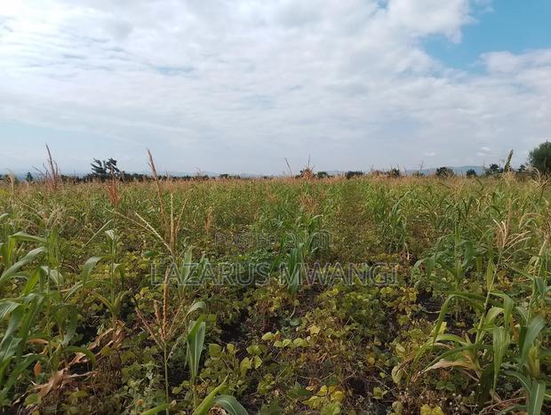 2 Acres of Land at Kakawa Area Embu Mwea