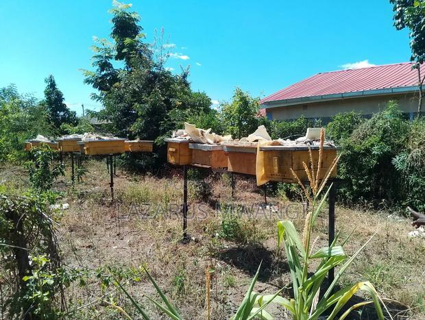 Half Acre Within Mathingira Township Sagana Makutano