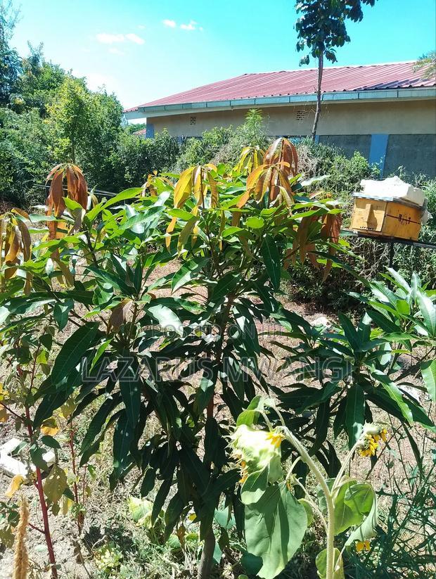 Half Acre Within Mathingira Township Sagana Makutano