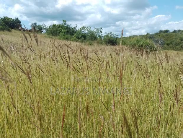 One Acre Mwea Karaba Kikumini Area Wango