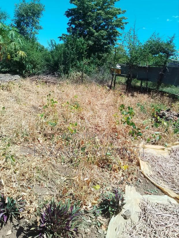 Half Acre Within Mathingira Township Sagana Makutano