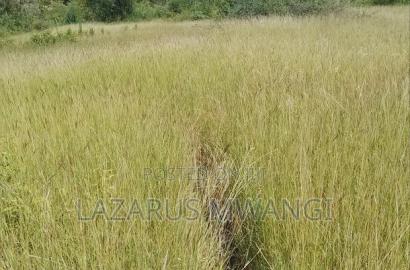 One Acre Mwea Karaba Kikumini Area Wango