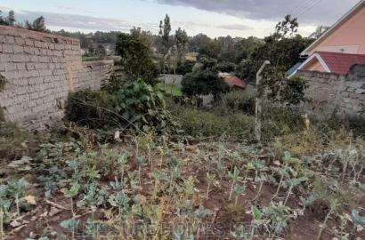 50 by 100 Residential Land
