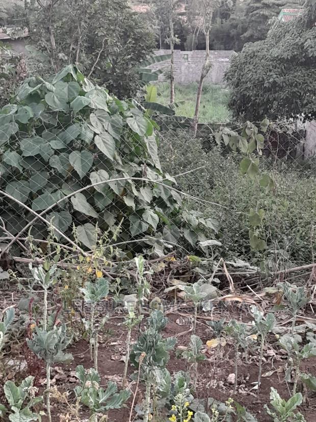 50 by 100 Residential Land