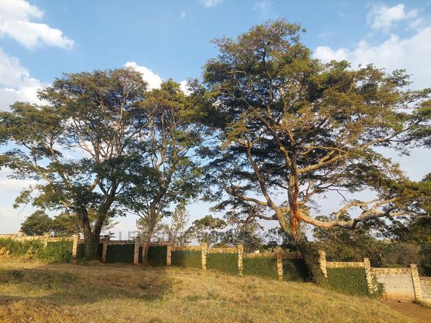 1/8 Acre Golf Front Plot