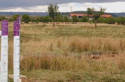 Located Just 700m From The Highway
