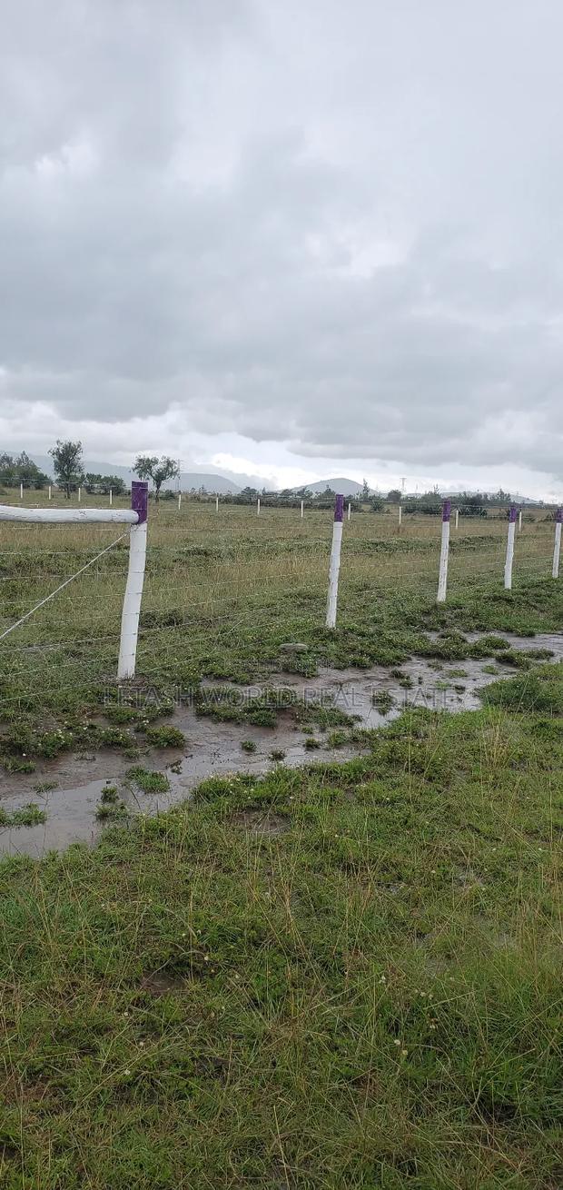 620,000 Gets You a 50 by 100 Plot of Land in Naivasha