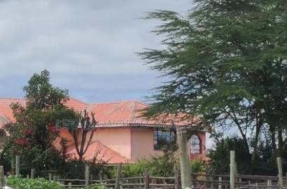 Good Price for a Plot 500mtrs From the Highway
