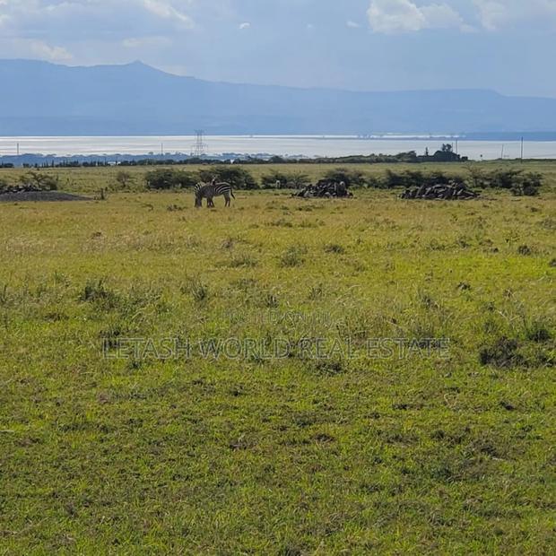 View of Lake Naivasha in Lakeview 6, 50 by 100 Plots