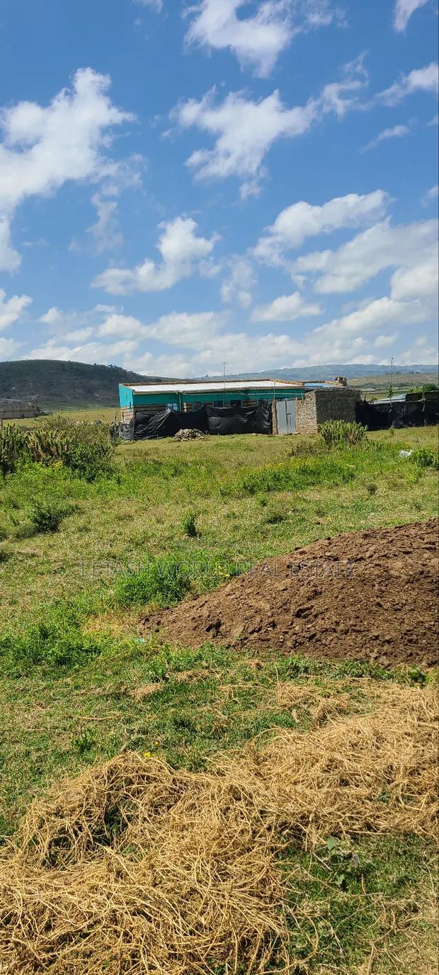 Prime 50 by 100ft Plots in Naivasha, Cash Price
