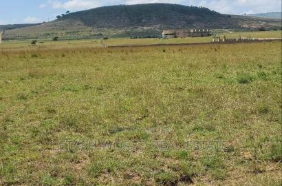 Just 1km From the Maimahiu Highway, 50 by 100 Feet