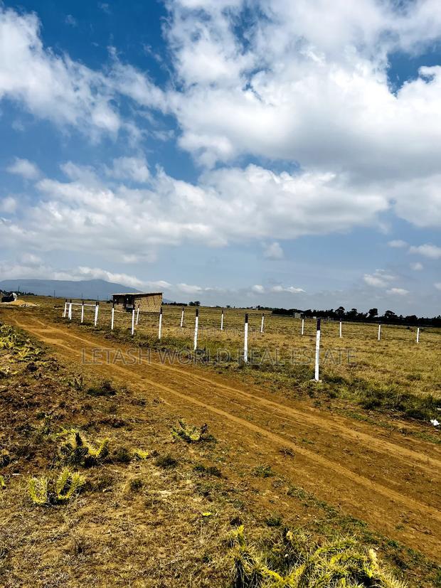 Good Views for a Good Price, , Along Maimahiu Highway