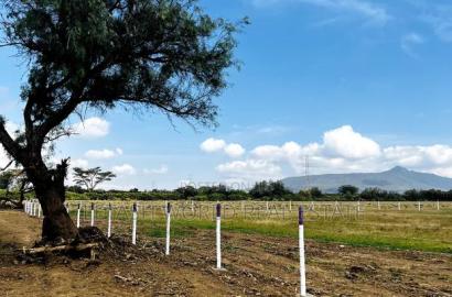50 by 100 Plots, Good View of Mt Longonot, Cash