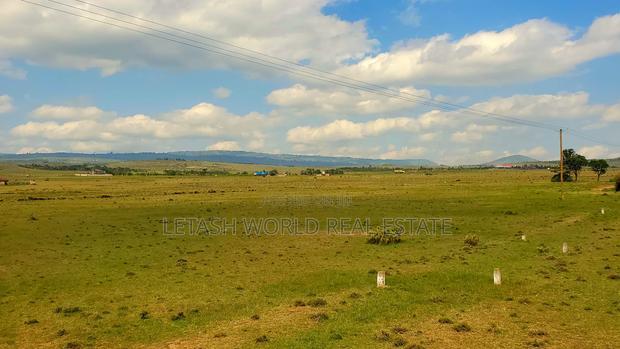 Prime 50 by 100ft Plots in Naivasha, Cash Price