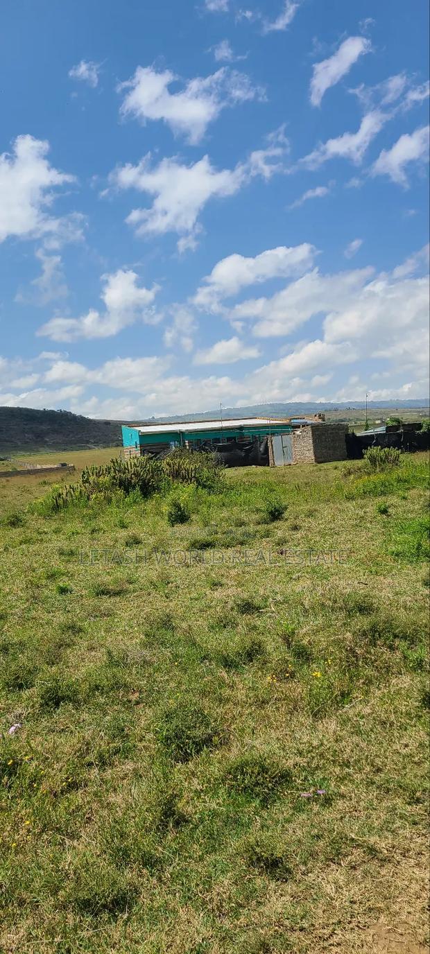 Prime 50 by 100ft Plots in Naivasha, Cash Price