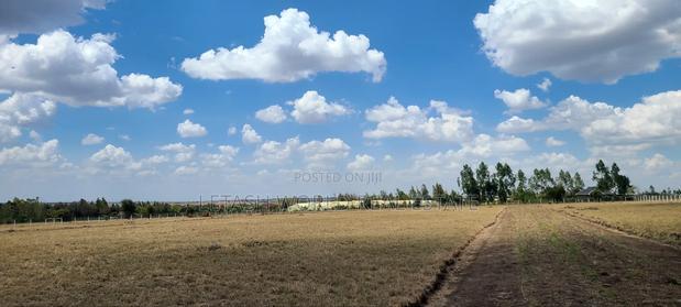 Plots in Kitengela 50 by 100, 500mtrs Off Tarmac.