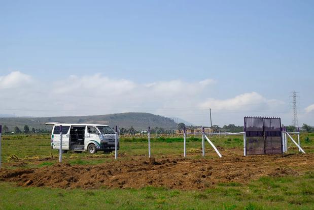 Land Near the Highway, 50 by 100 Ft ,