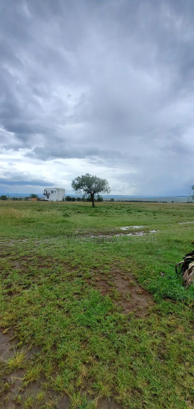 620,000 Gets You a 50 by 100 Plot of Land in Naivasha