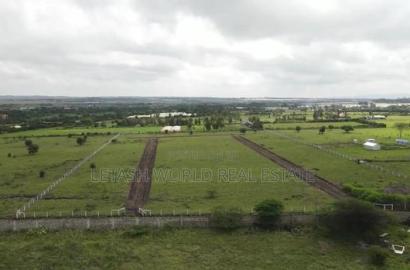 Plots, 50 by 100, 500 Meters From the Highway