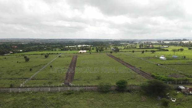 Plots, 50 by 100, 500 Meters From the Highway
