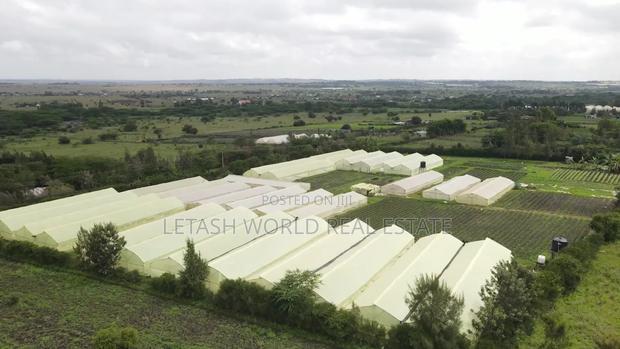 Plains 2 Kitengela, 50 by 100ft Plots,