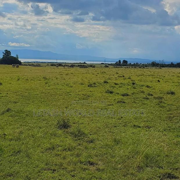 View of Lake Naivasha in Lakeview 6, 50 by 100 Plots