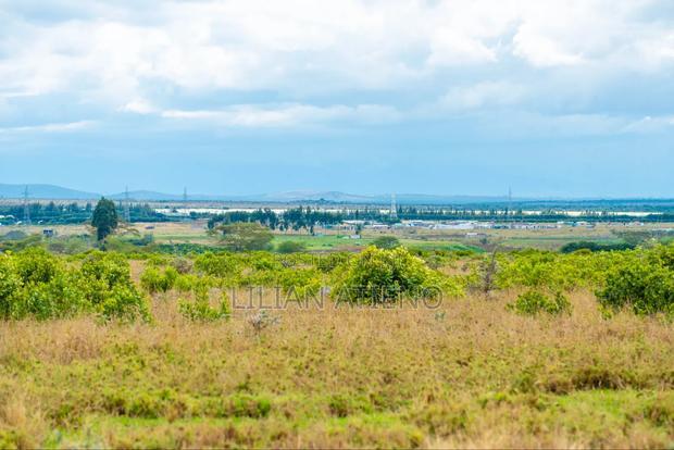 Plot for Sale in Nanyuki