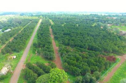 Plots for Sale in Thika