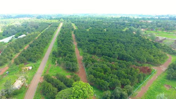 Plots for Sale in Thika