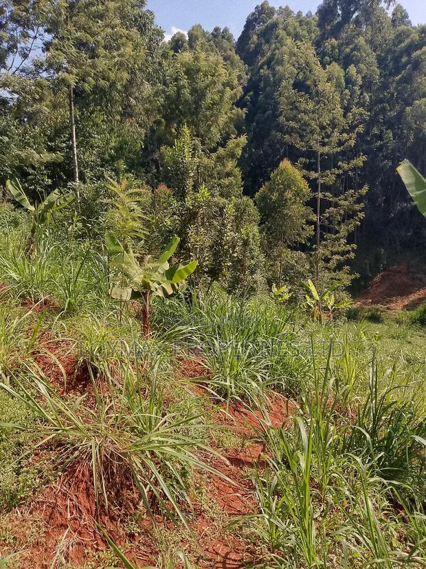 1/2 Acre on Sale in Gatanga Kihumbu-Ini
