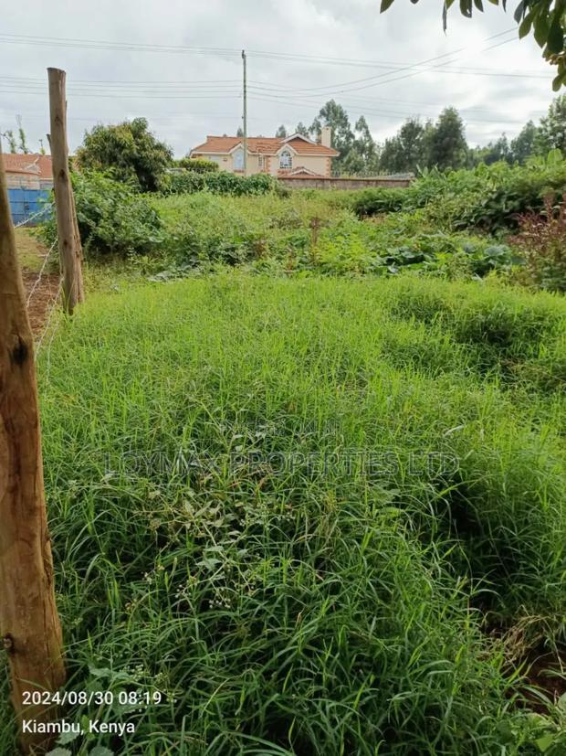 40/80 Plot on Sale in Kiambu Ting'ang'A