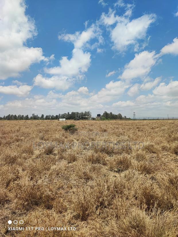 50/100 Residential Plot in Kisaju Kitengela