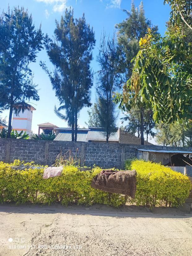 50/100 Plot in Kitengela Milimani Tumaini Estate