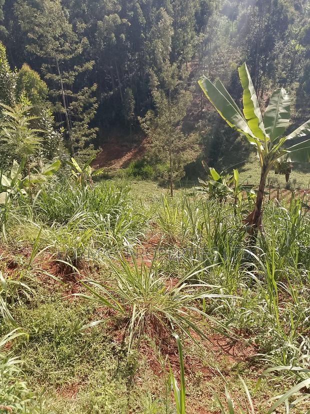 1/2 Acre on Sale in Gatanga Kihumbu-Ini