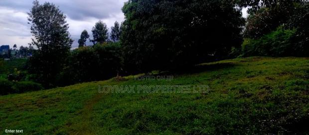4 Acres Tea Farm on Sale in Gatura Gatanga