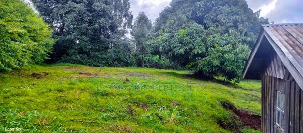 4 Acres Tea Farm on Sale in Gatura Gatanga