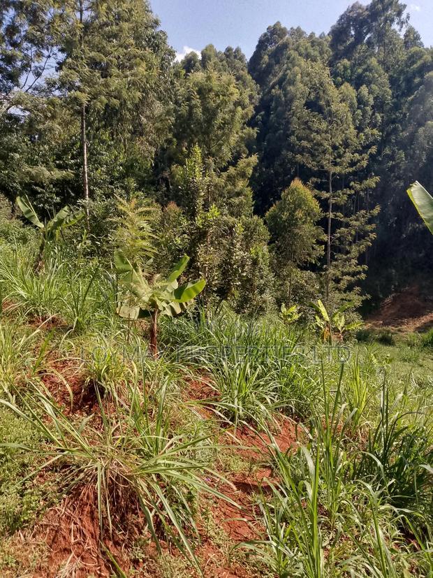 1/2 Acre on Sale in Gatanga Kihumbu-Ini