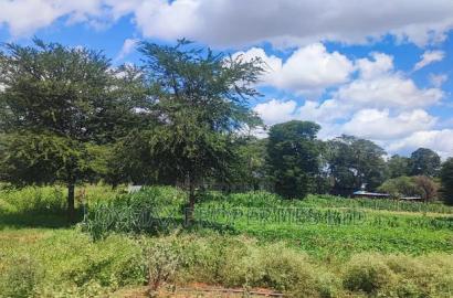 2 Acres Mashuru Kajiado