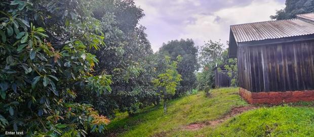 4 Acres Tea Farm on Sale in Gatura Gatanga