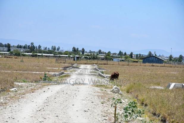 Plots for Sale in Kitengela Kisaju, Spring Gardens