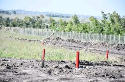 Plots for Sale in Kitengela Kisaju Next to Mua University