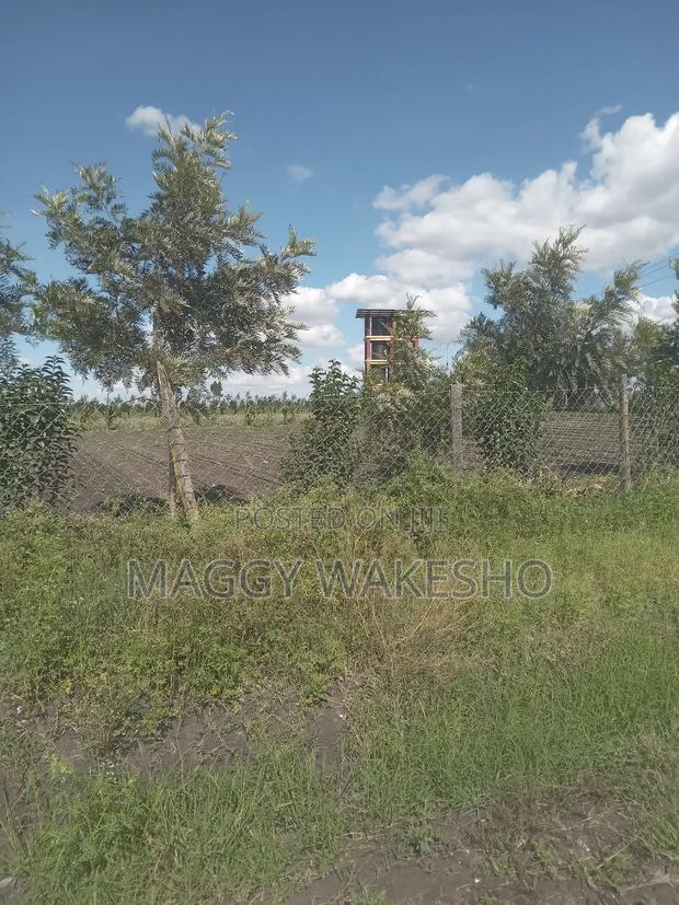 Plots for Sale in Kitengela Kisaju Next to Mua University