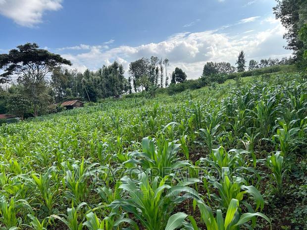 1 Acre Prime Plot in Muchata Town