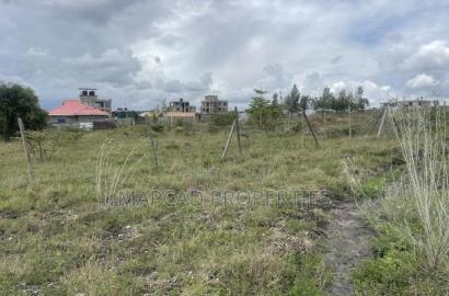 Quick Sale 1/4 Acre