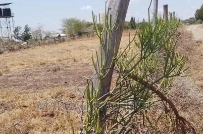 Prime Land for Sale Korompoi Kitengela