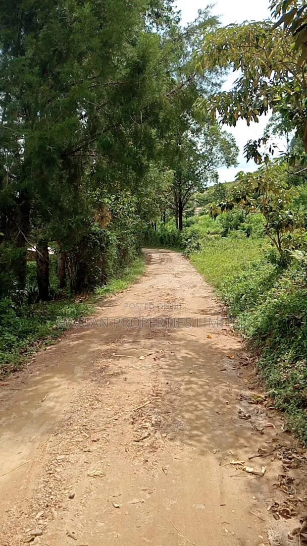 1/4 Acre Piece of Land for Sale