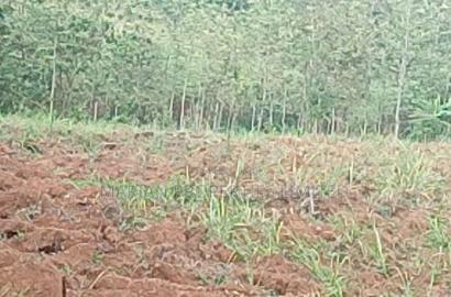 2 Acres for Sale in Kakamega
