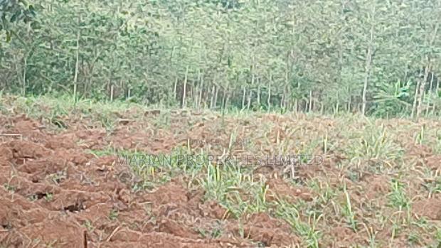 2 Acres for Sale in Kakamega