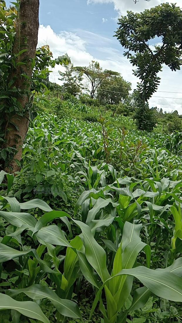 50*100 Plots for Sale at Handidi Kakamega